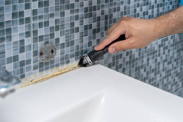 Best Health and Safety Mold Remediation in Elk Creek, KY
