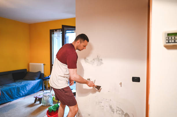 Best Black Mold Remediation in Elk Creek, KY